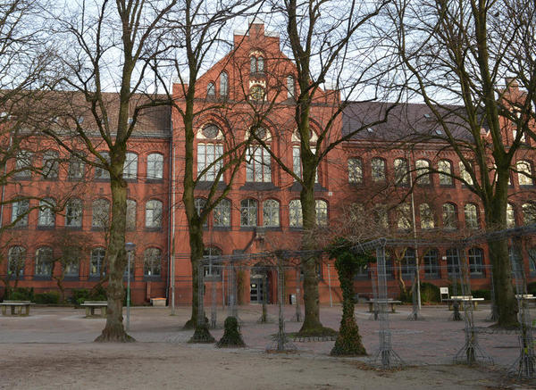 Die Bismarckschule ist das älteste Gymnasium der Stadt Elmshorn. Auf dem Schulhof stehen mehrere hohe Bäume.