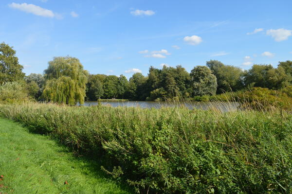 See hinter grüner Bepflanzung mit großen belaubten Bäumen auf der gegenüberliegenden Uferseite.