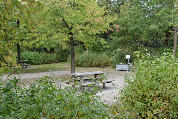 Parkbänke und Tische aus Holz stehen auf einem kleinen Platz im Park.