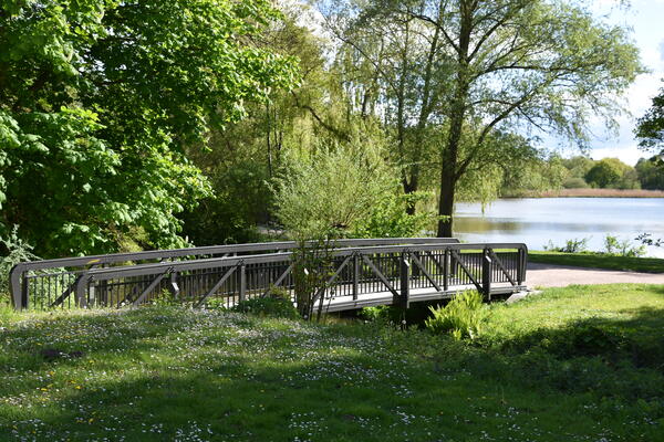 Eine kleine Brücke verbindet den Mühlendamm mit dem Steindammpark. Es ist Frühling.