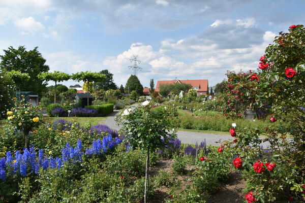 Parkanlage der Rosenzüchter Gärtnerei  Rosen Kordes in Klein Offenseth-Sparrieshoop.