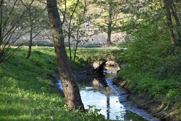 Ein romantischer kleiner  Bach fliesst unter einem Weg im Steindammpark. Das Bachufer ist grün bewachsen.